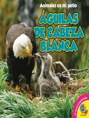 cover image of Águilas de cabeza blanca (Bald Eagles)